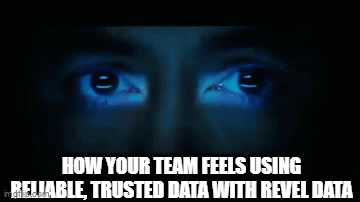 Revel Data meme 15
